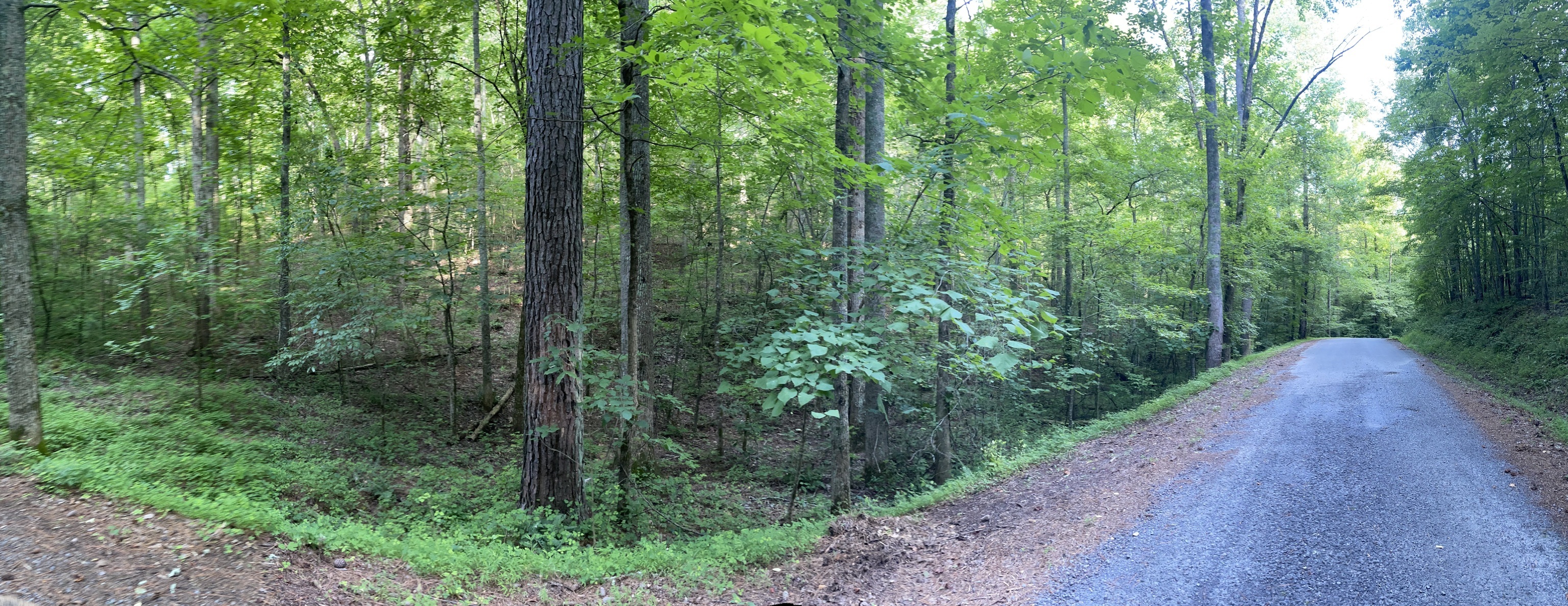 732 Nettle Lane Ranger GA 30734