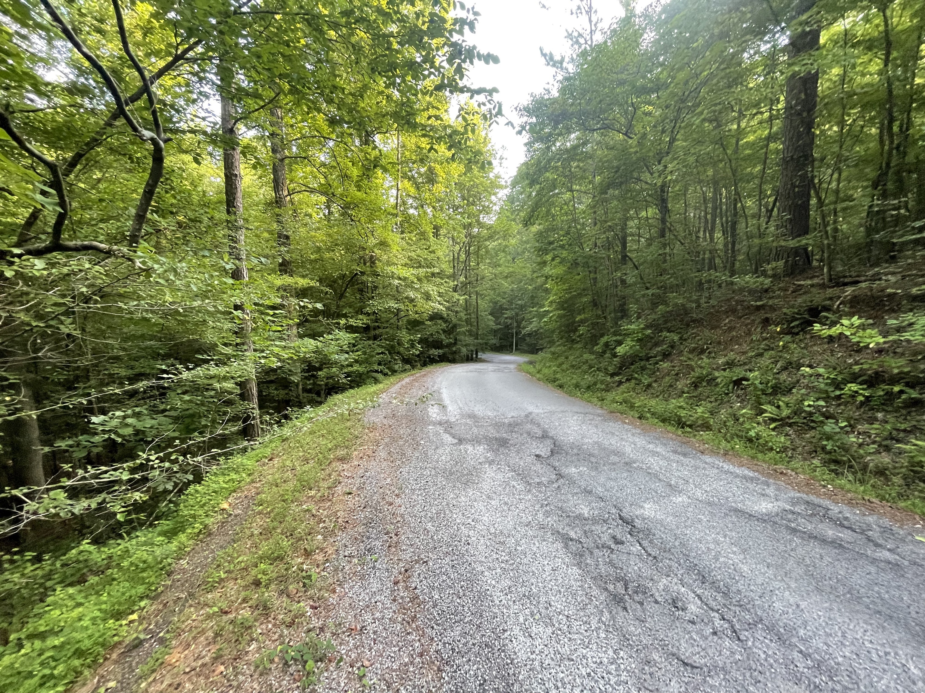 732 Nettle Lane Ranger GA 30734