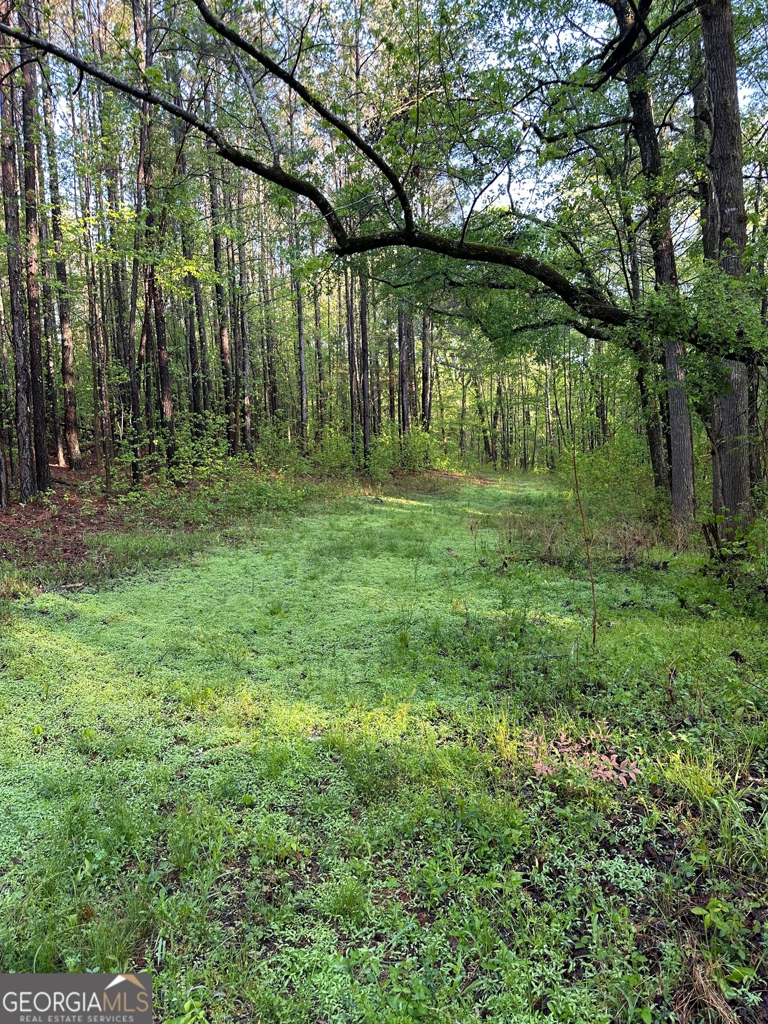 1433 Cleveland Farm Road Locust Grove GA 30248