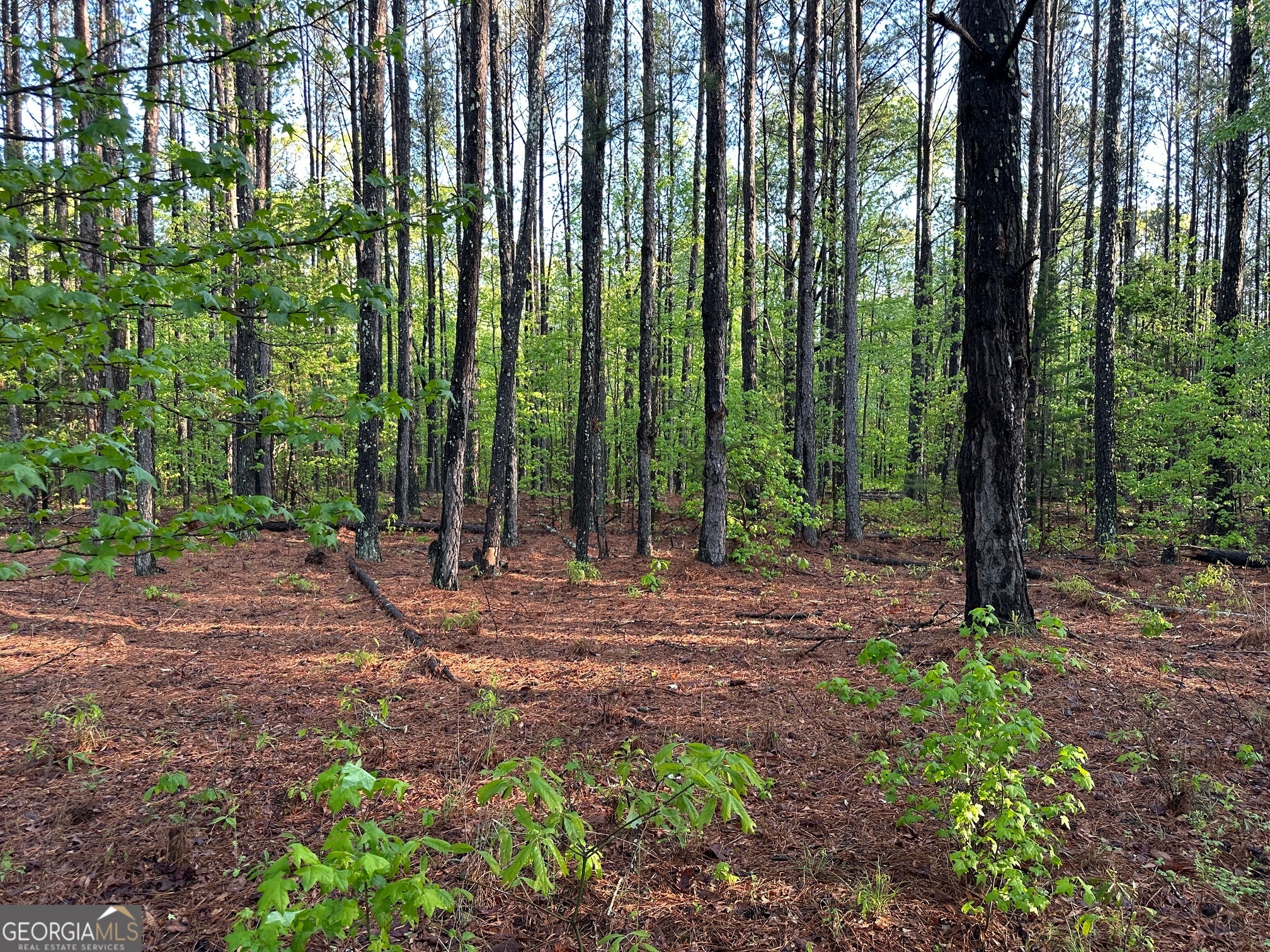 1433 Cleveland Farm Road Locust Grove GA 30248