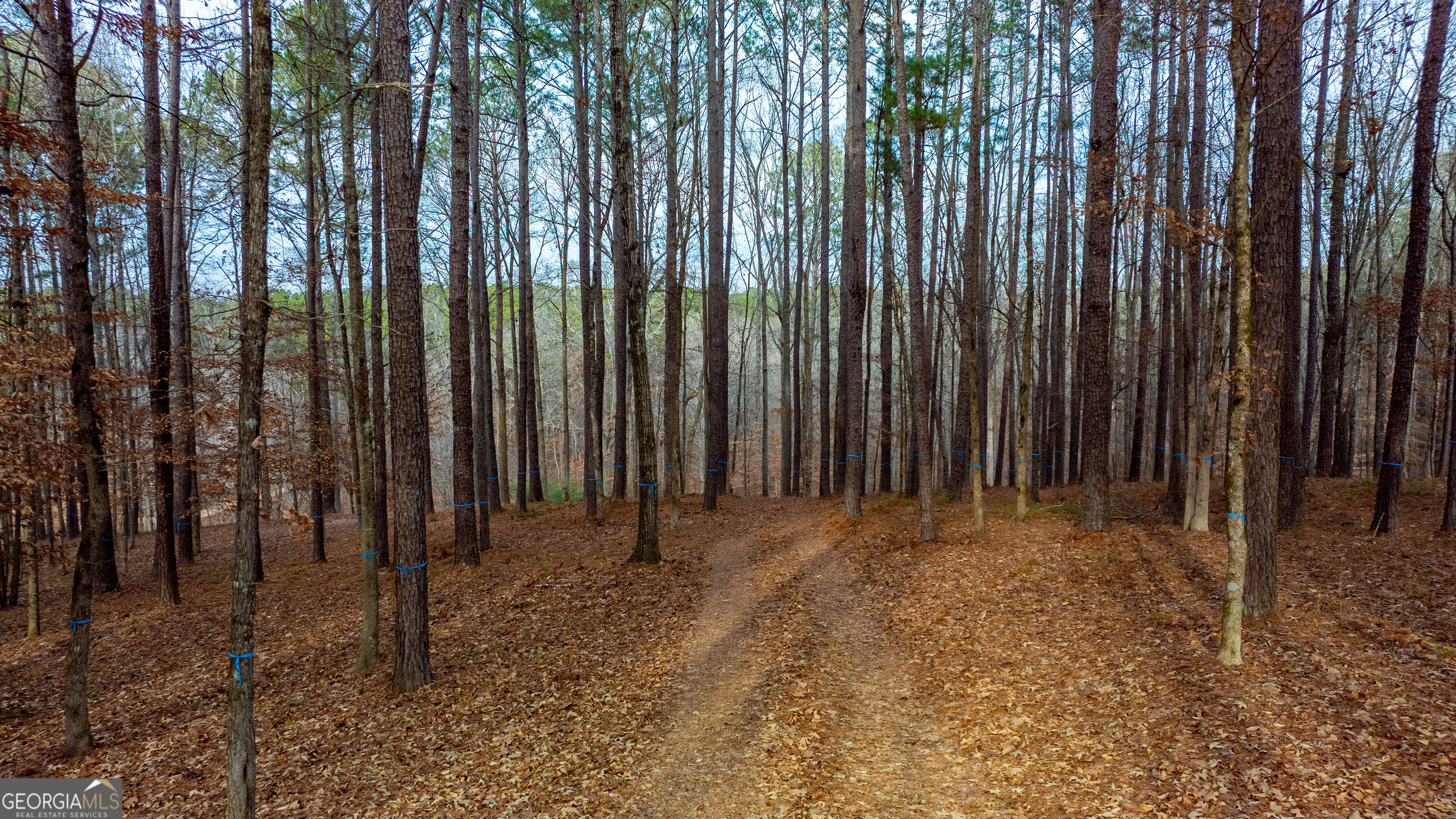 1191 Sunset Overlook Greensboro GA 30642