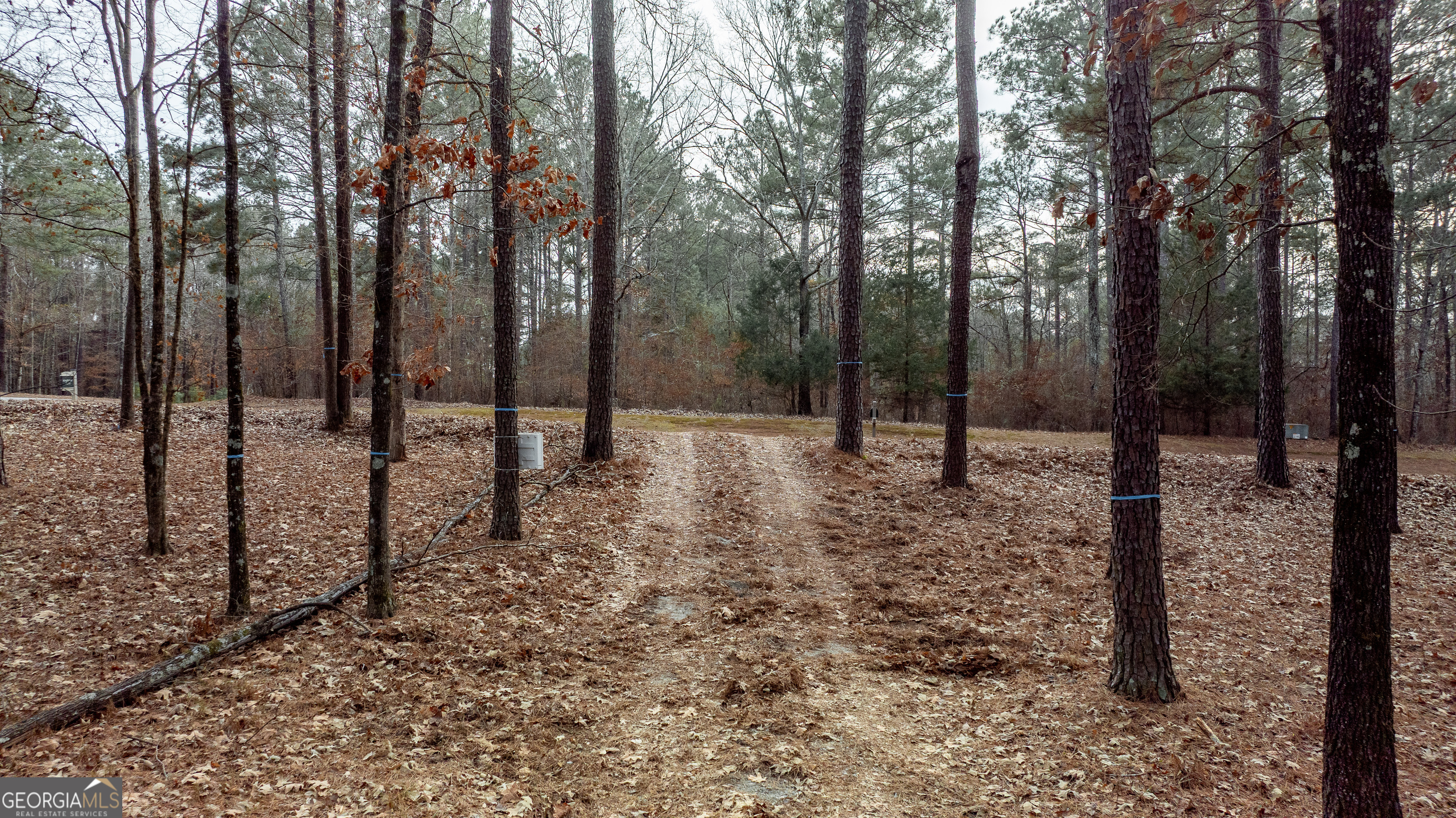 1191 Sunset Overlook Greensboro GA 30642