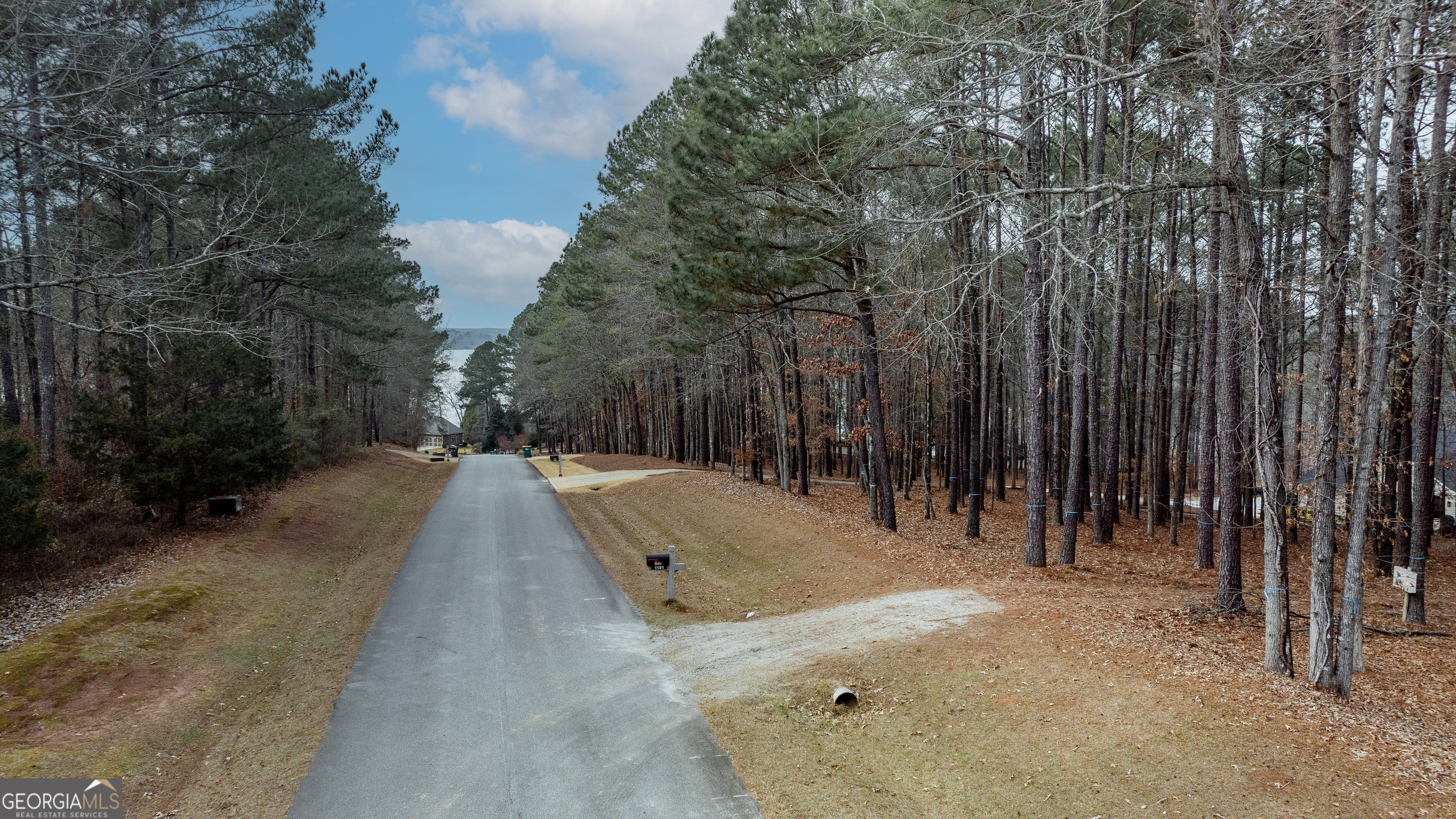 1191 Sunset Overlook Greensboro GA 30642