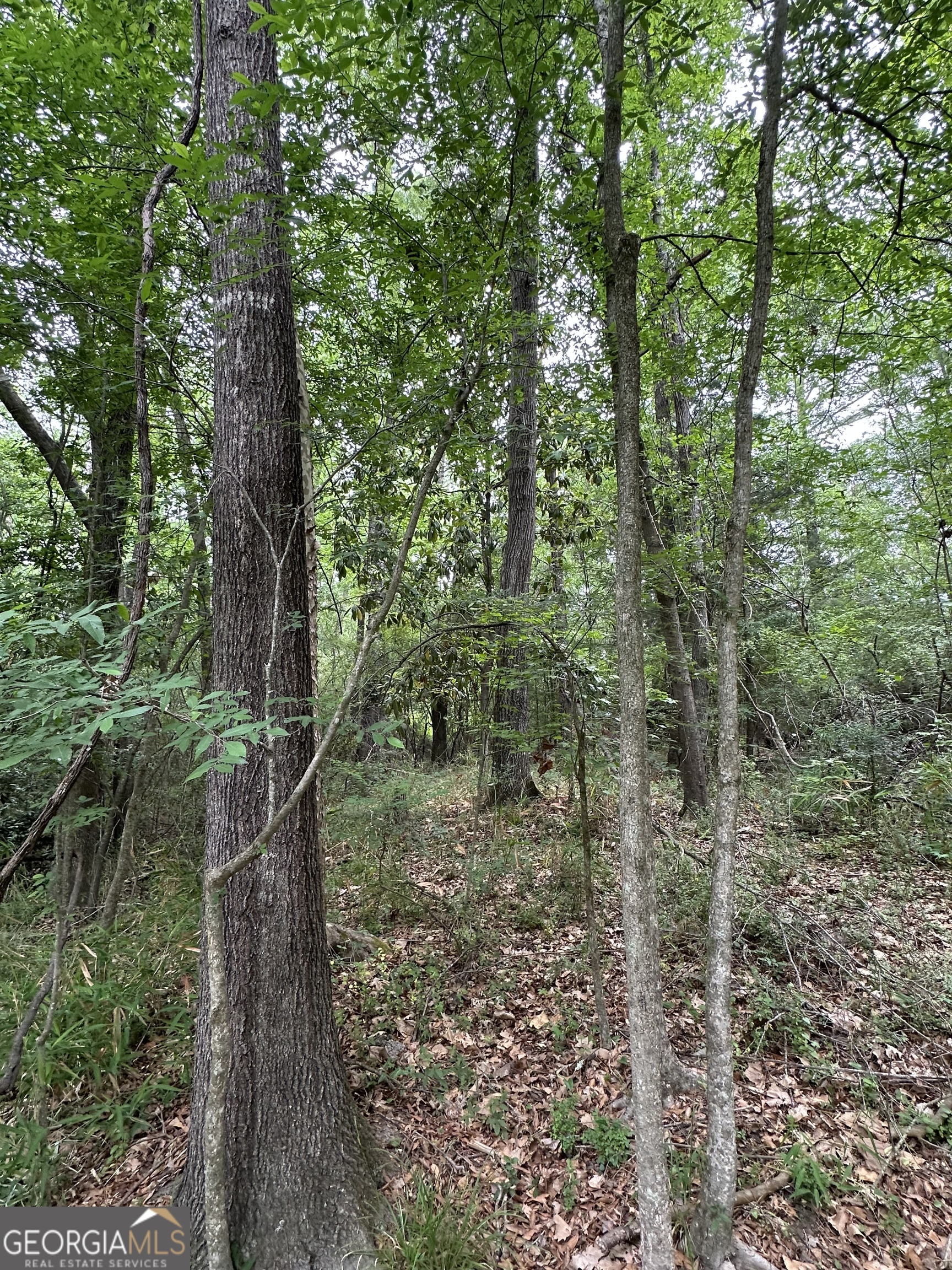 0 W Haynes Street Sandersville GA 31082