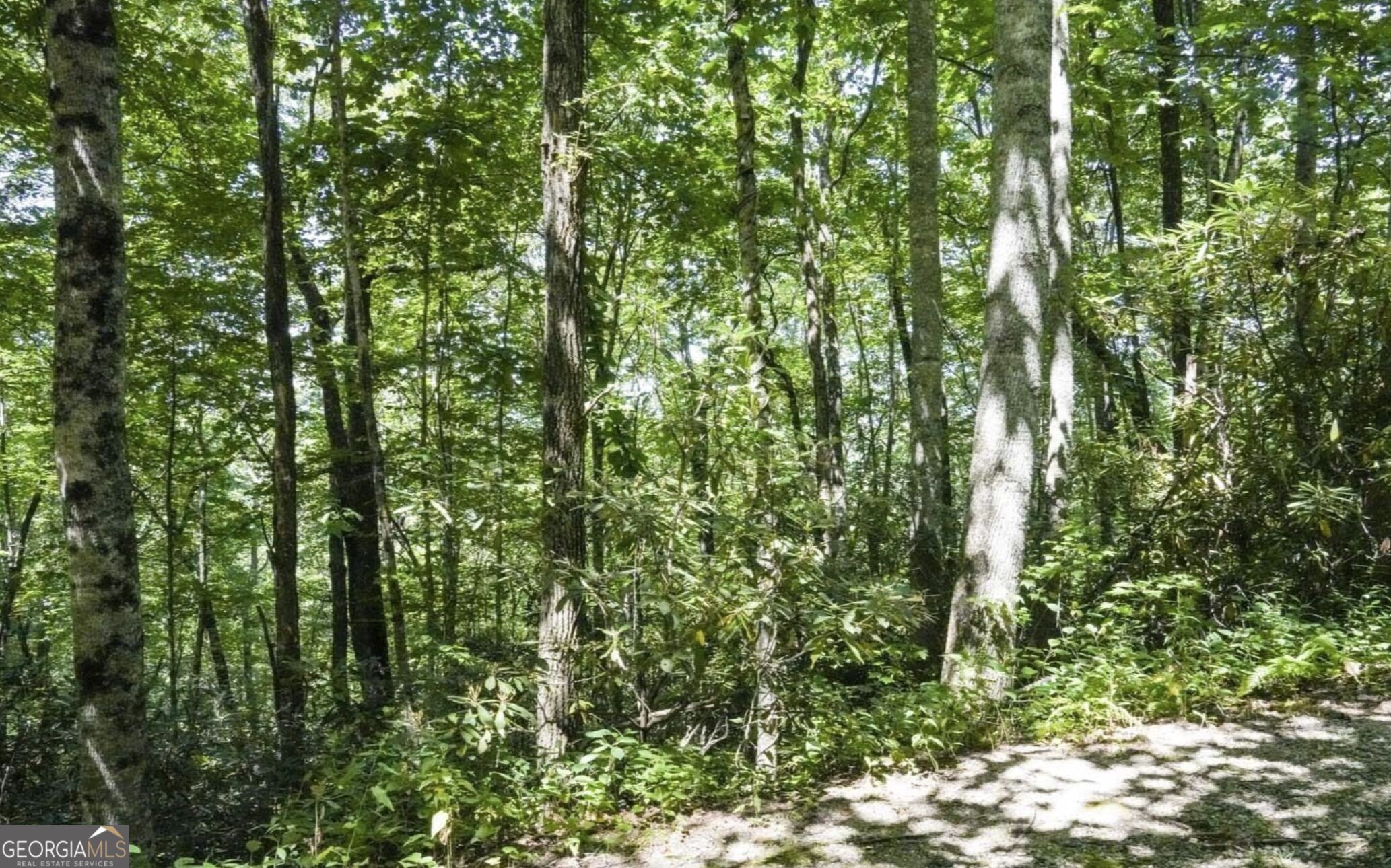 0 Mockingbird Lane Sky Valley GA 30537