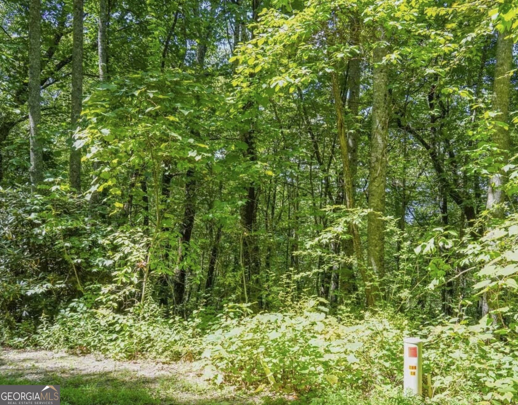 0 Mockingbird Lane Sky Valley GA 30537