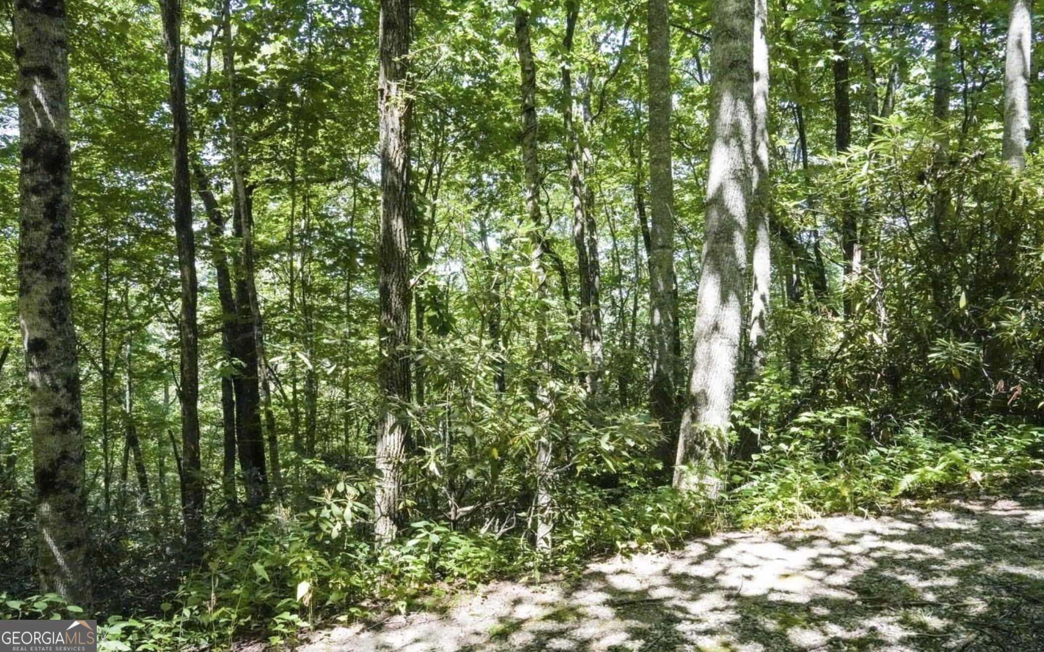 0 Mockingbird Lane Sky Valley GA 30537