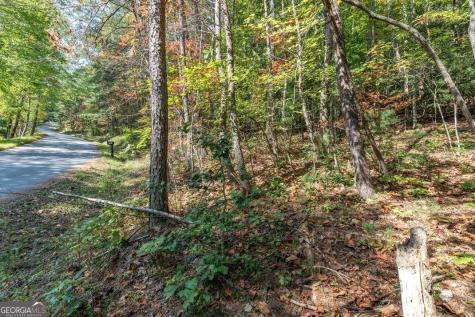 Lot 71 Laurel Crossing Blue Ridge GA 30513