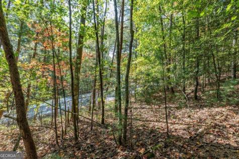 Lot 71 Laurel Crossing Blue Ridge GA 30513