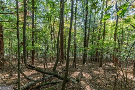 Lot 71 Laurel Crossing Blue Ridge GA 30513