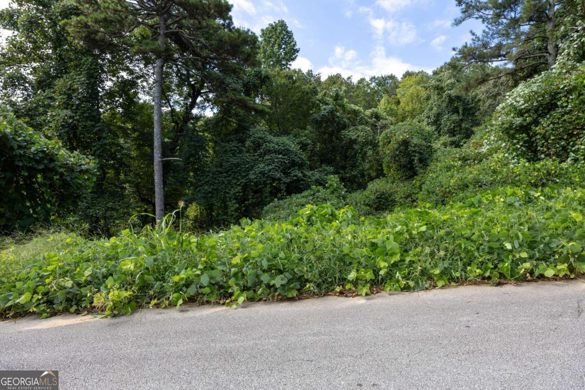1828 Tulip Drive Gainesville GA 30507