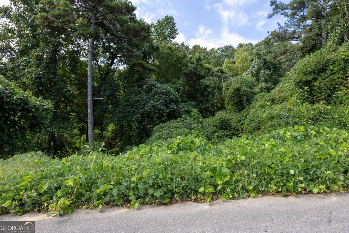1828 Tulip Drive Gainesville GA 30507