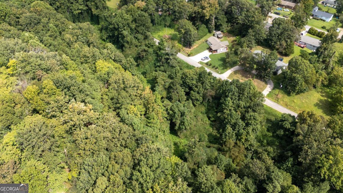 1828 Tulip Drive Gainesville GA 30507