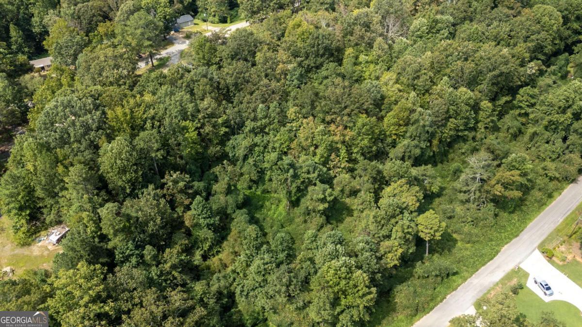 1828 Tulip Drive Gainesville GA 30507