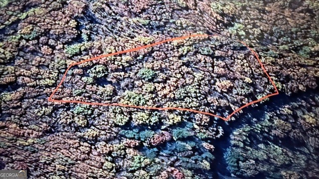 Lot 82 Baltusrol Run Ellijay GA 30536