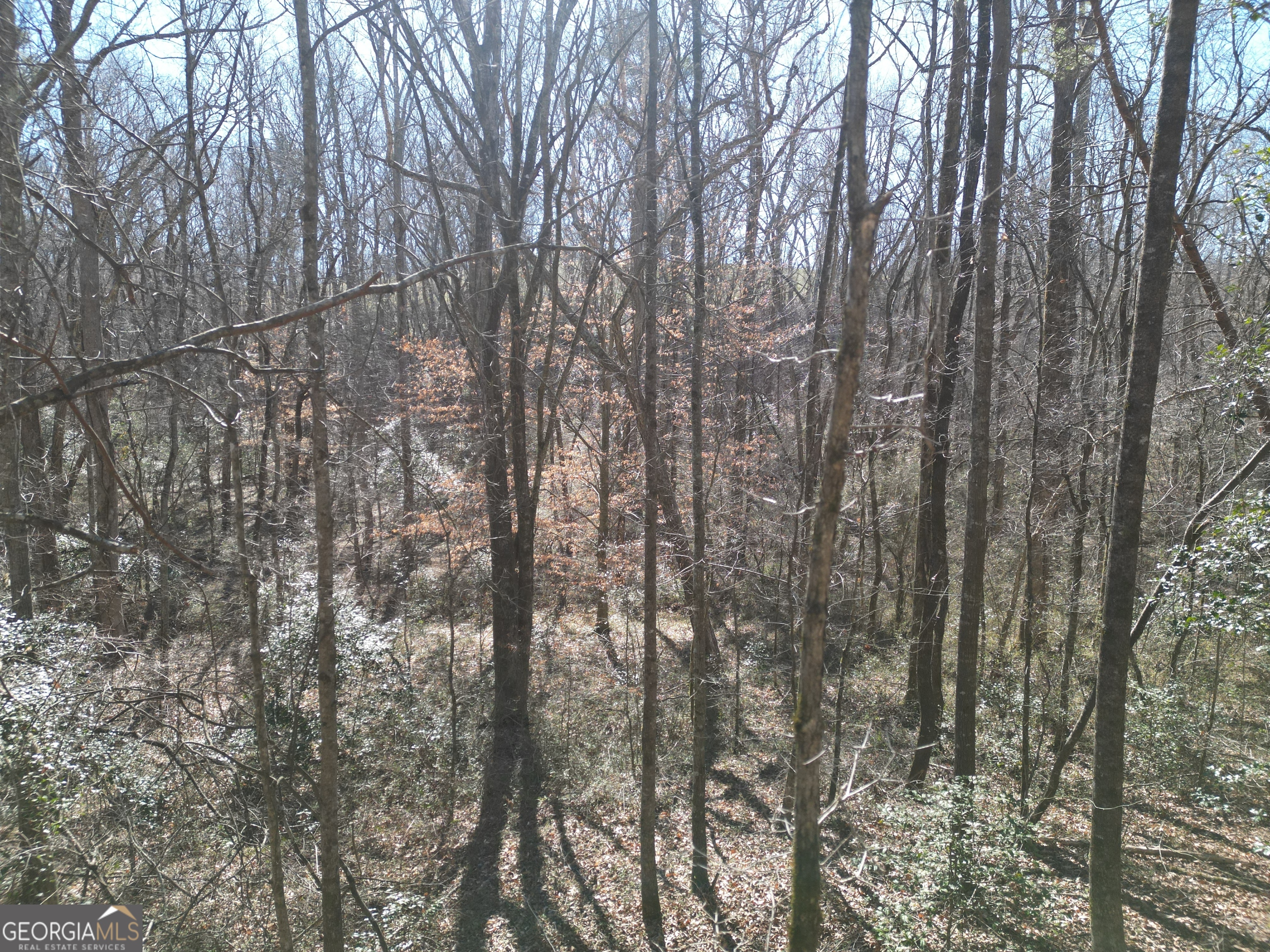281 Grindstone Creek Drive Clarkesville GA 30523