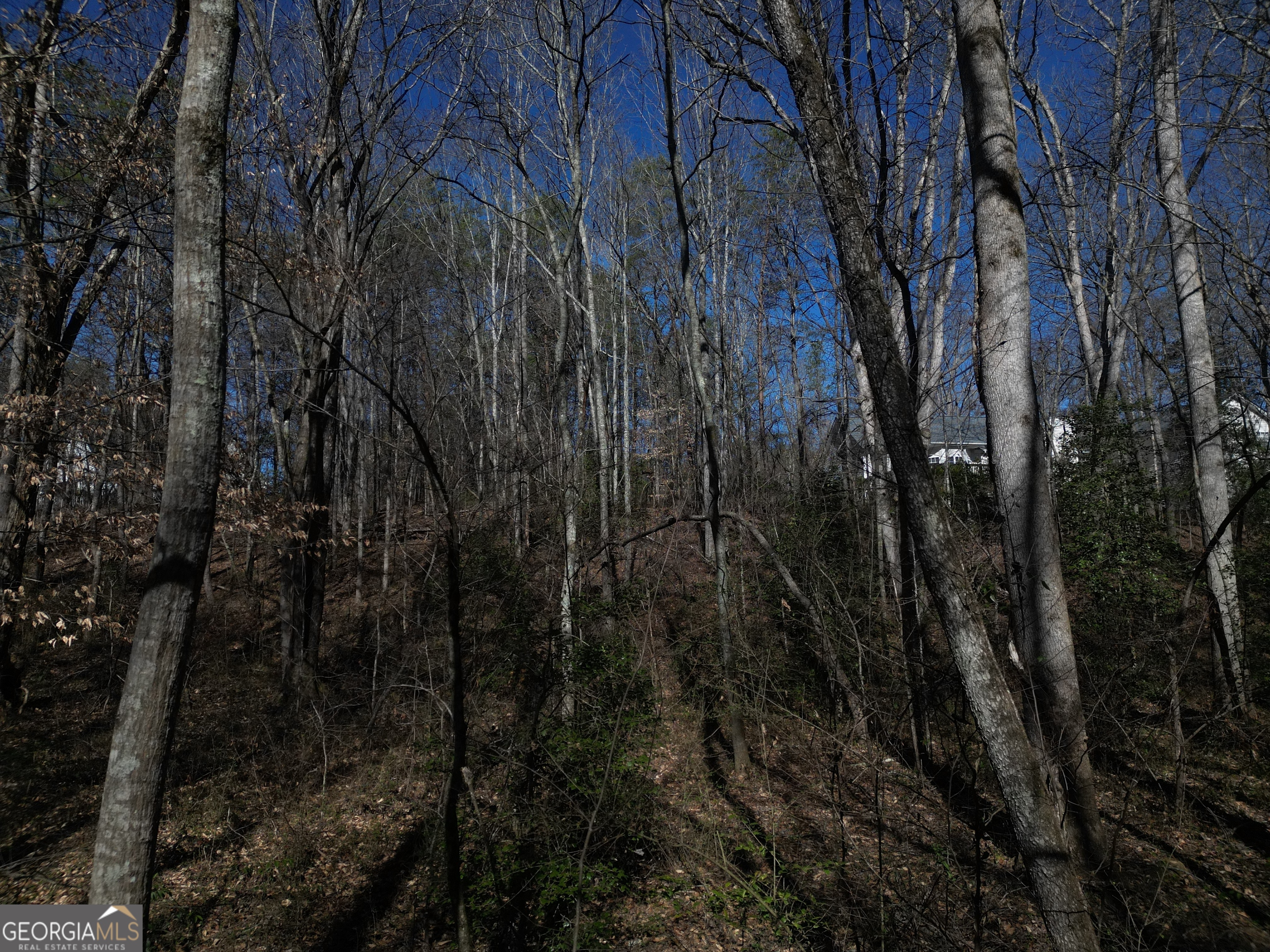 281 Grindstone Creek Drive Clarkesville GA 30523