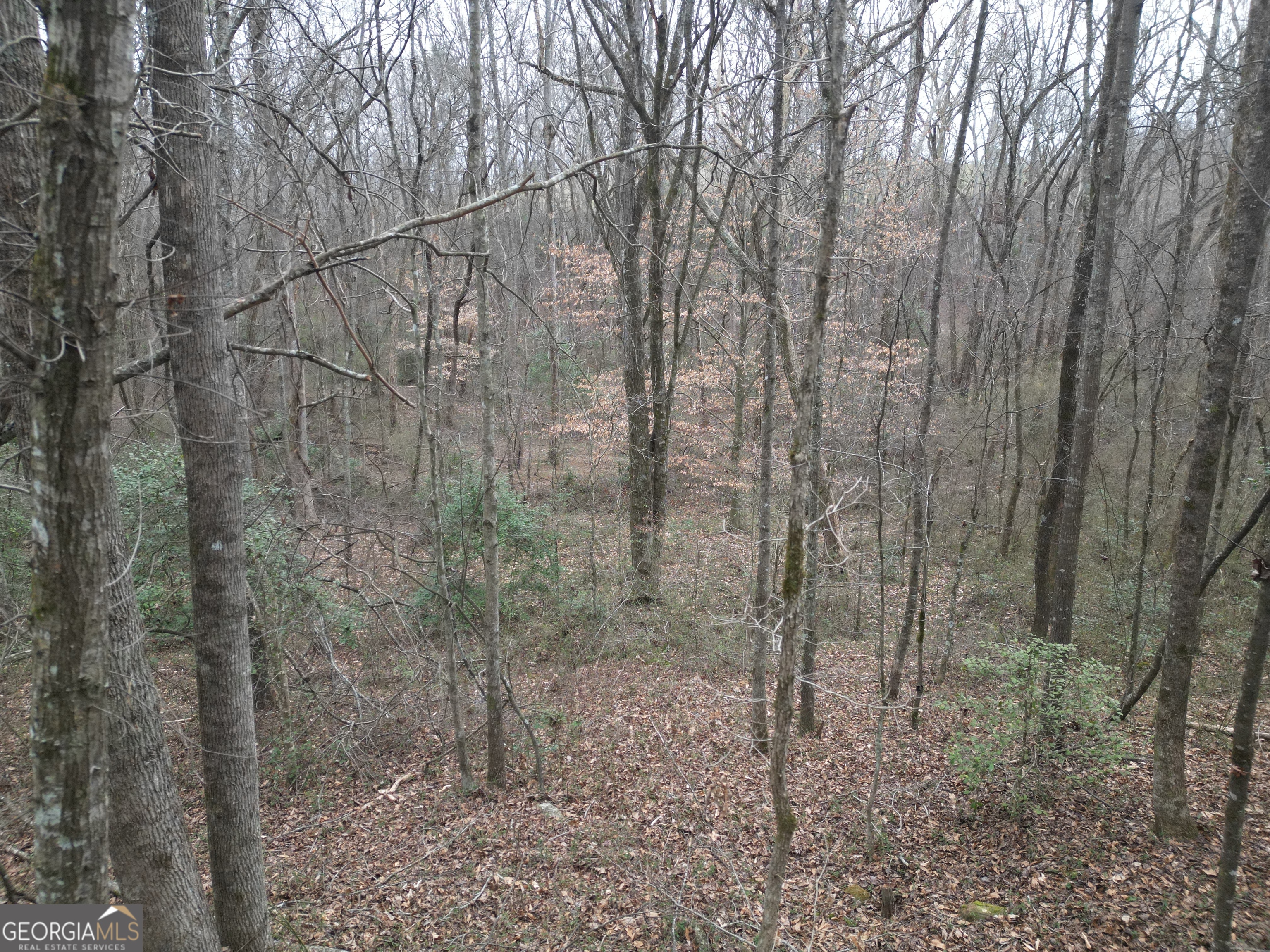 281 Grindstone Creek Drive Clarkesville GA 30523