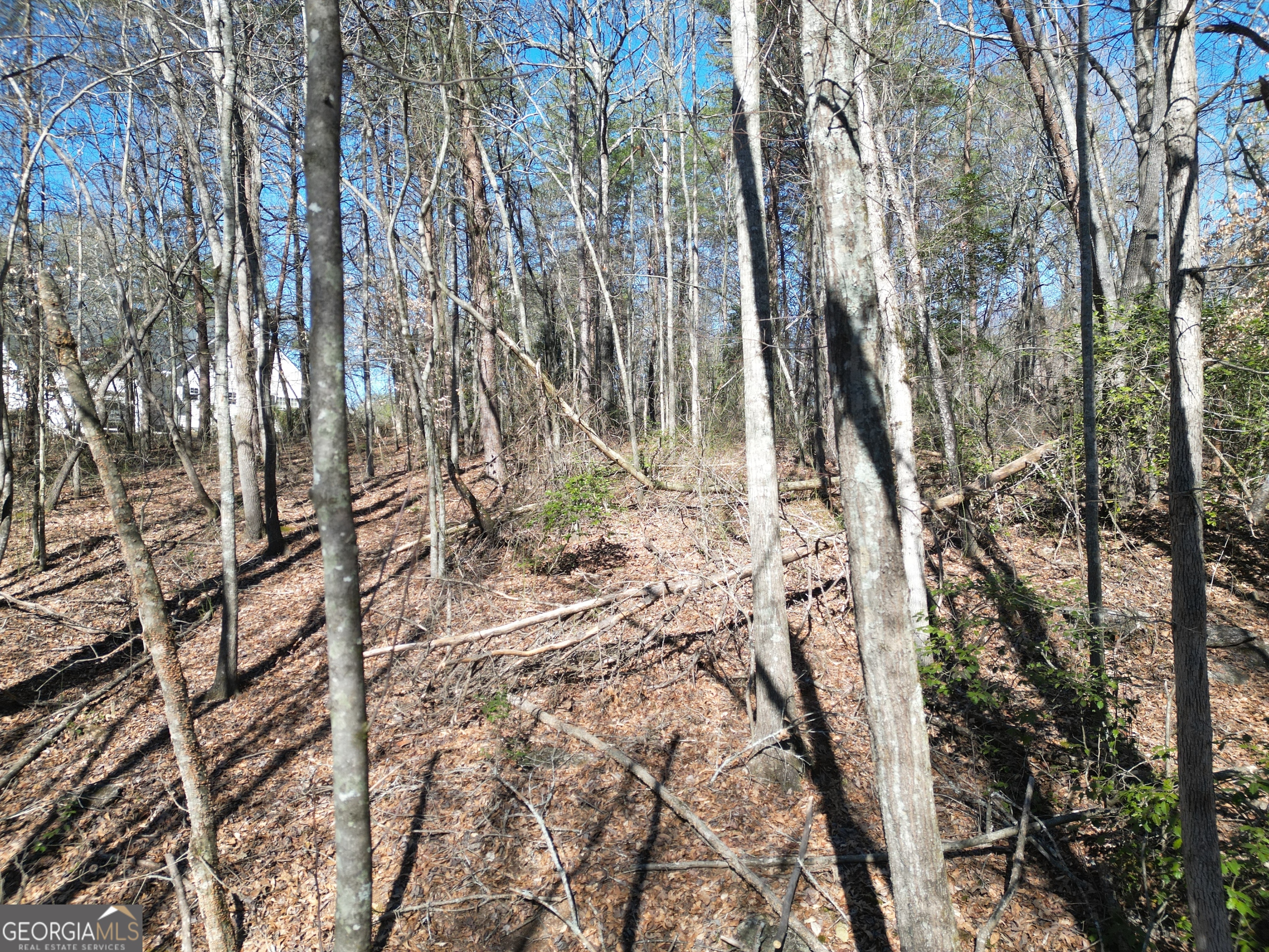 281 Grindstone Creek Drive Clarkesville GA 30523