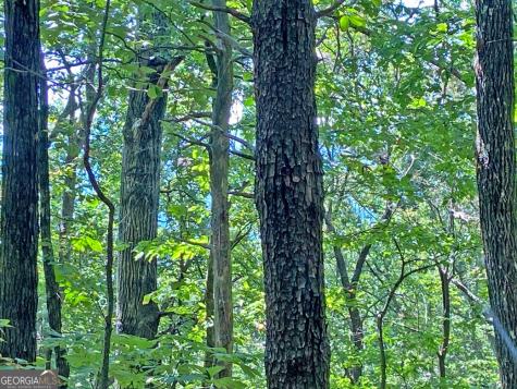 4.8AC Sign Board Gap Road Dahlonega GA 30533