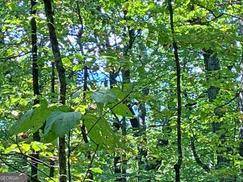 4.8AC Sign Board Gap Road Dahlonega GA 30533