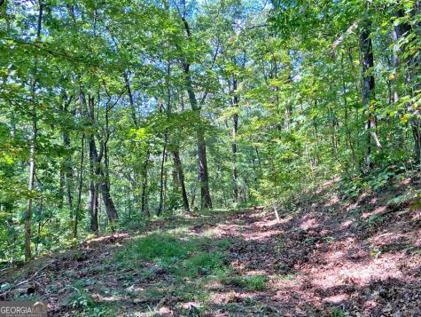 4.8AC Sign Board Gap Road Dahlonega GA 30533
