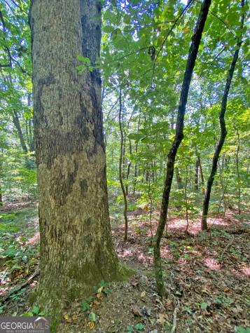 4.8AC Sign Board Gap Road Dahlonega GA 30533