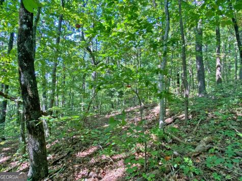 4.8AC Sign Board Gap Road Dahlonega GA 30533
