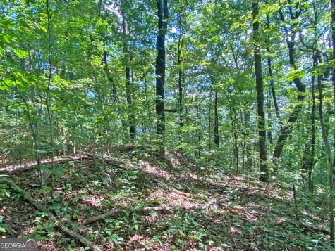 4.8AC Sign Board Gap Road Dahlonega GA 30533