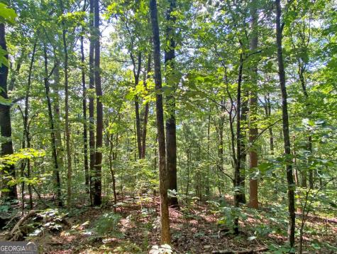4.8AC Sign Board Gap Road Dahlonega GA 30533