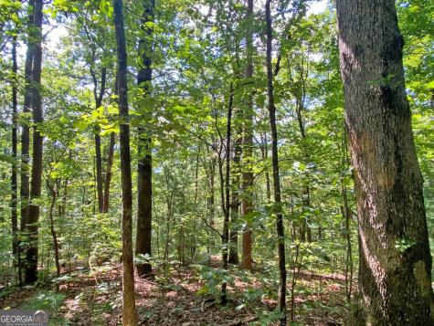 4.8AC Sign Board Gap Road Dahlonega GA 30533