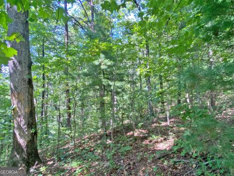 4.8AC Sign Board Gap Road Dahlonega GA 30533