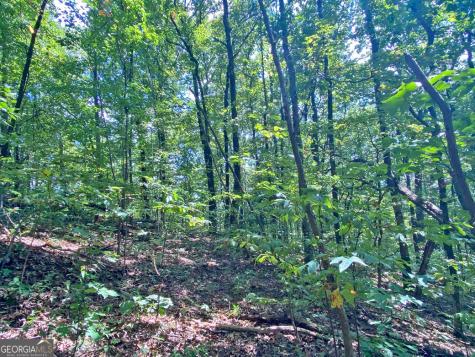 4.8AC Sign Board Gap Road Dahlonega GA 30533