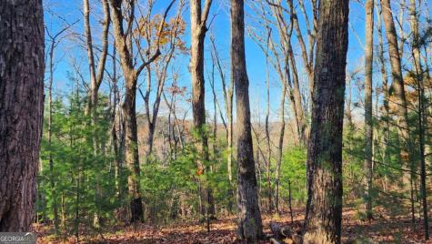 0 Lot 18 Meadowlands Drive Talking Rock GA 30175