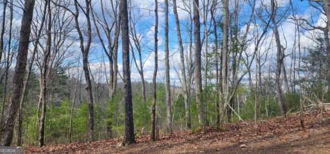 0 Lot 18 Meadowlands Drive Talking Rock GA 30175
