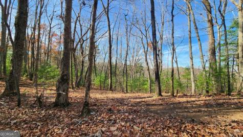 0 Lot 18 Meadowlands Drive Talking Rock GA 30175