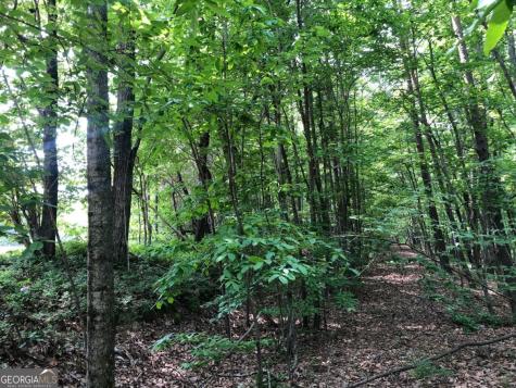 1613 Duchess Lane Clarkesville GA 30523