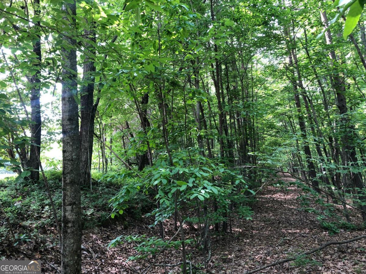 1613 Duchess Lane Clarkesville GA 30523