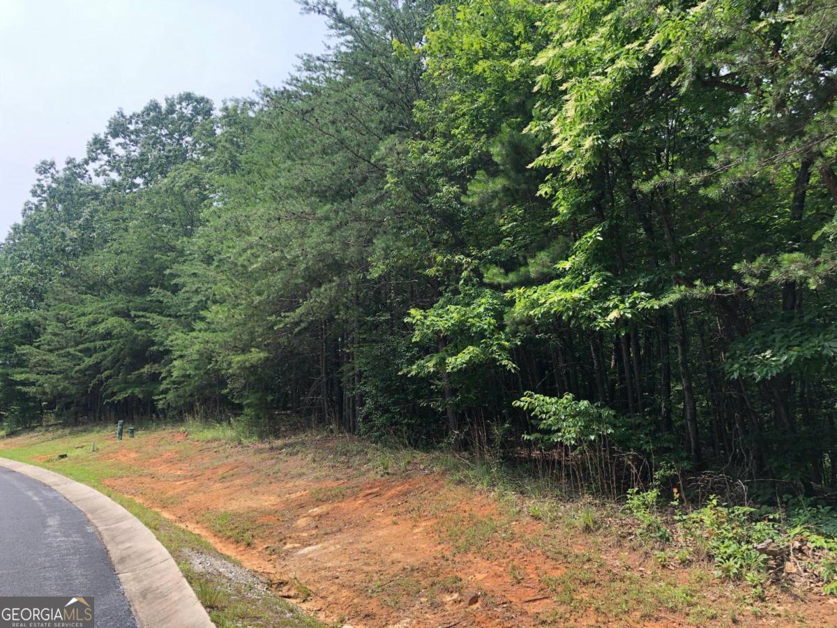 1613 Duchess Lane Clarkesville GA 30523