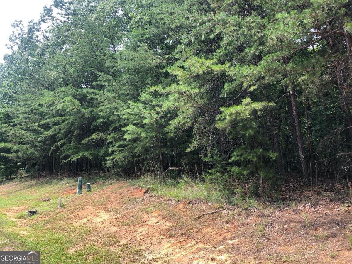 1613 Duchess Lane Clarkesville GA 30523