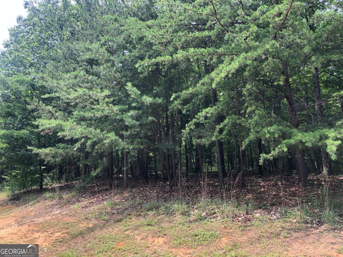 1613 Duchess Lane Clarkesville GA 30523