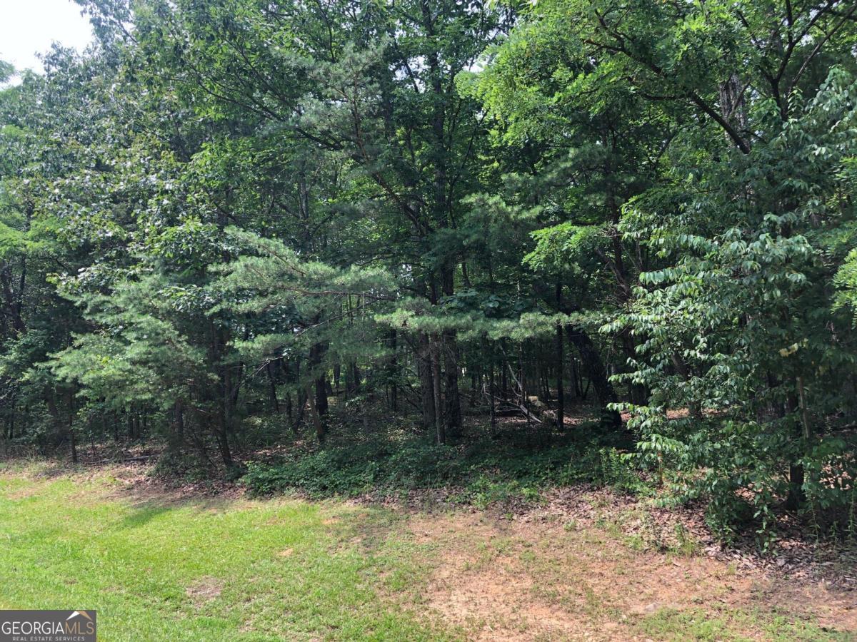 1613 Duchess Lane Clarkesville GA 30523