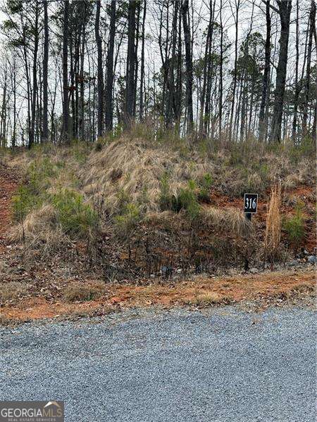 316 Pebble Trace Street Ellijay GA 30540