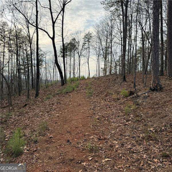 316 Pebble Trace Street Ellijay GA 30540