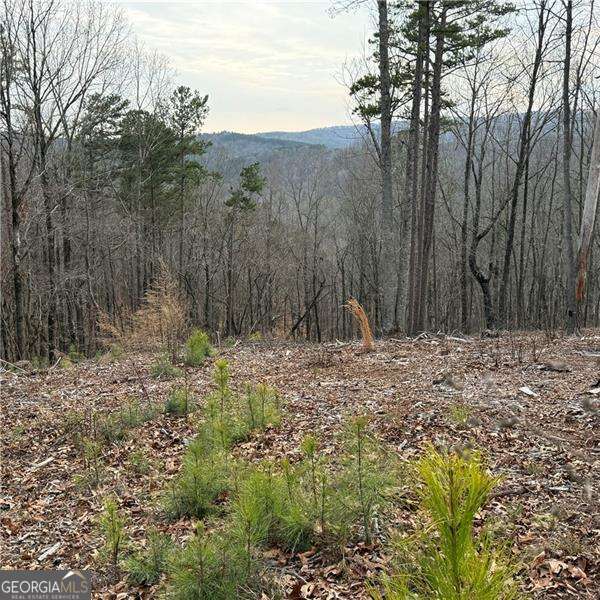 316 Pebble Trace Street Ellijay GA 30540