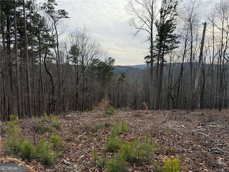 316 Pebble Trace Street Ellijay GA 30540