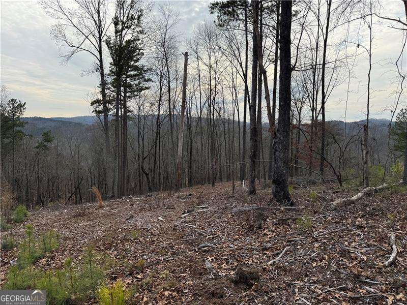 316 Pebble Trace Street Ellijay GA 30540
