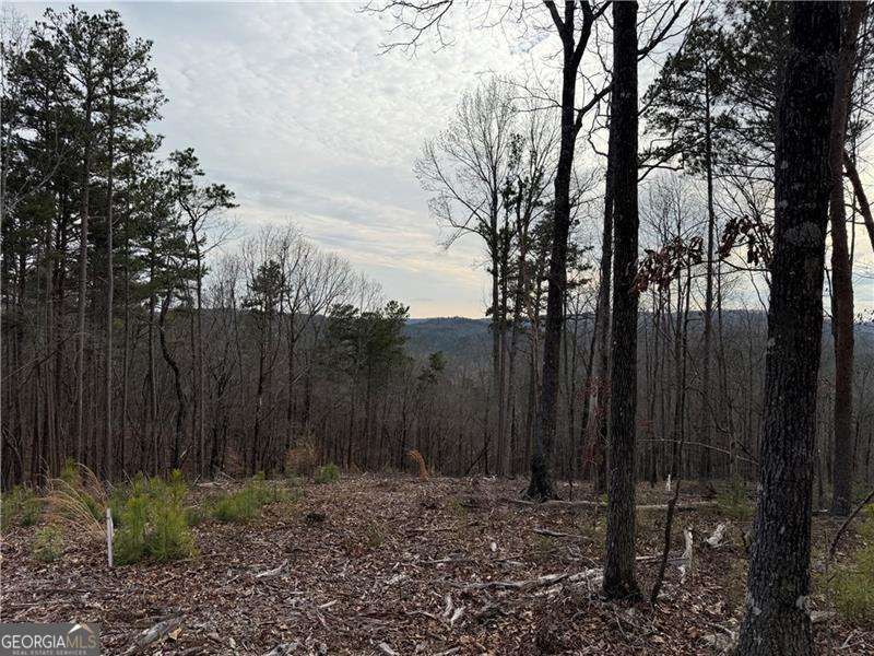 316 Pebble Trace Street Ellijay GA 30540
