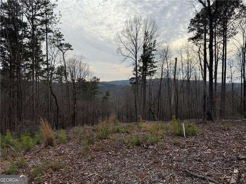 316 Pebble Trace Street Ellijay GA 30540