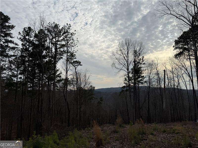316 Pebble Trace Street Ellijay GA 30540